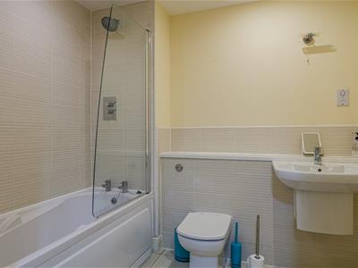Picture 8
